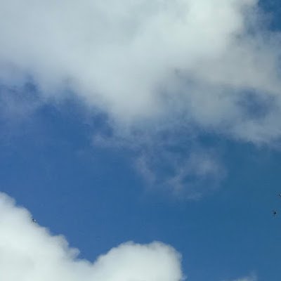 mo_molin tweet media