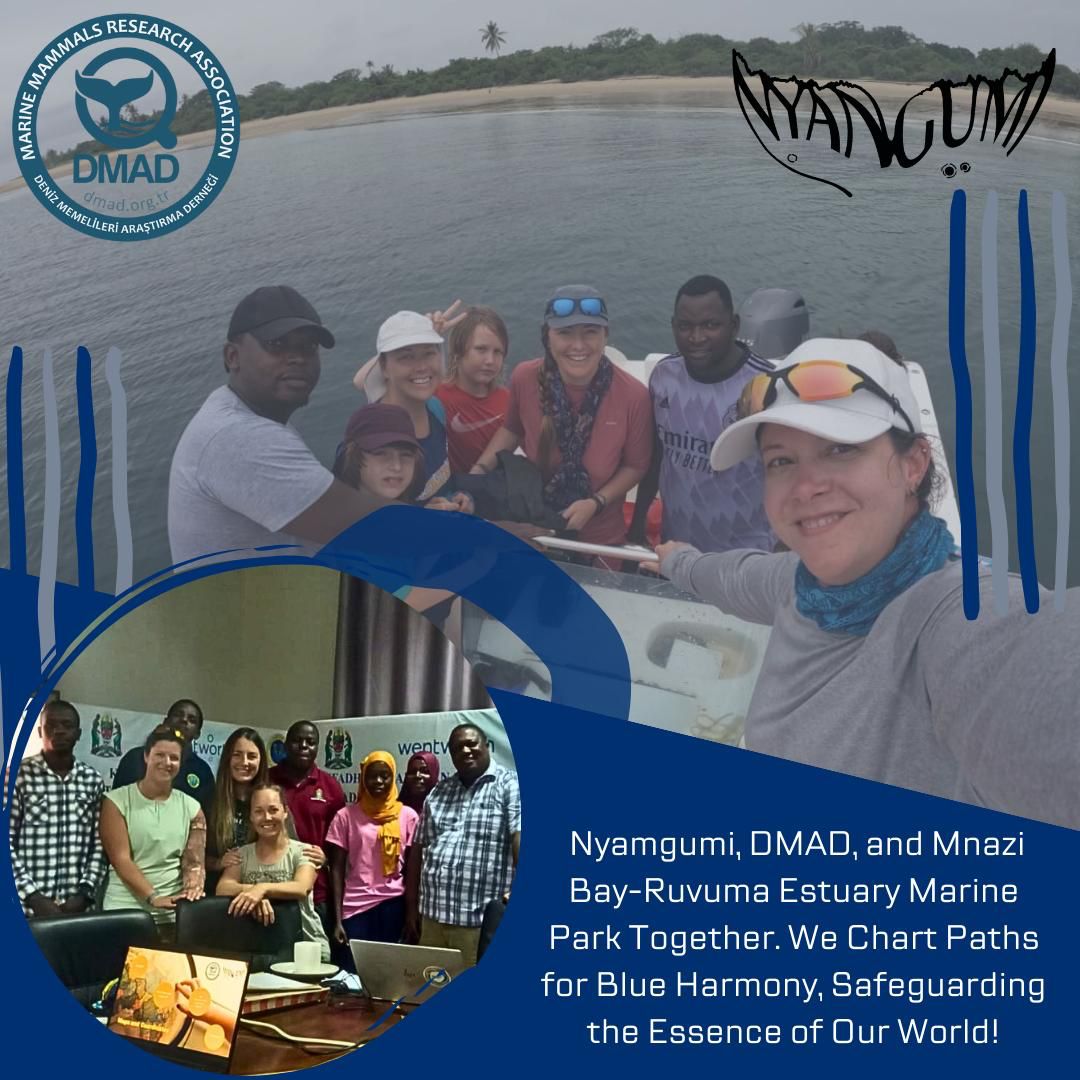 International collaboration is the key for successful research and conservation action. We are transforming our knowledge and power in multinational ways. Nyamgumi, DMAD and Mnazi Bay-Ruvuma Estuary Marine Park together creating paths for blue nature to protect what is left to us