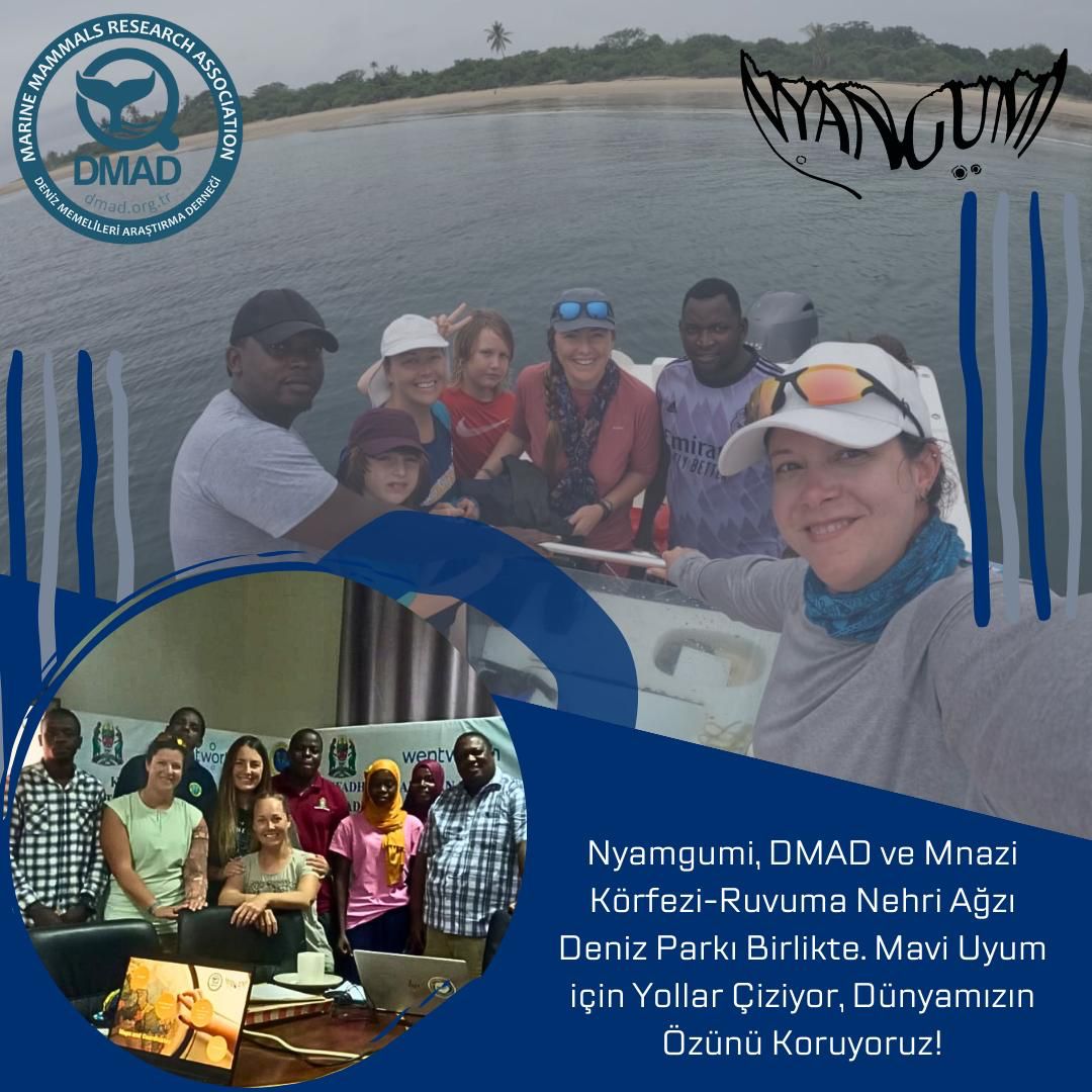 Uluslararası işbirlikleri başarılı araştırma ve koruma için kilit öneme sahip. Bilgi ve gücümüzü çok uluslu bir perspektifle birleştiriyoruz. DMAD olarak,  Nyamgumi ve Mnazi Körfezi-Ruvuma Nehri Ağzı Deniz Parkı birlikteliğinde mavi gezegenimiz için etkili çözümler geliştiriyoruz