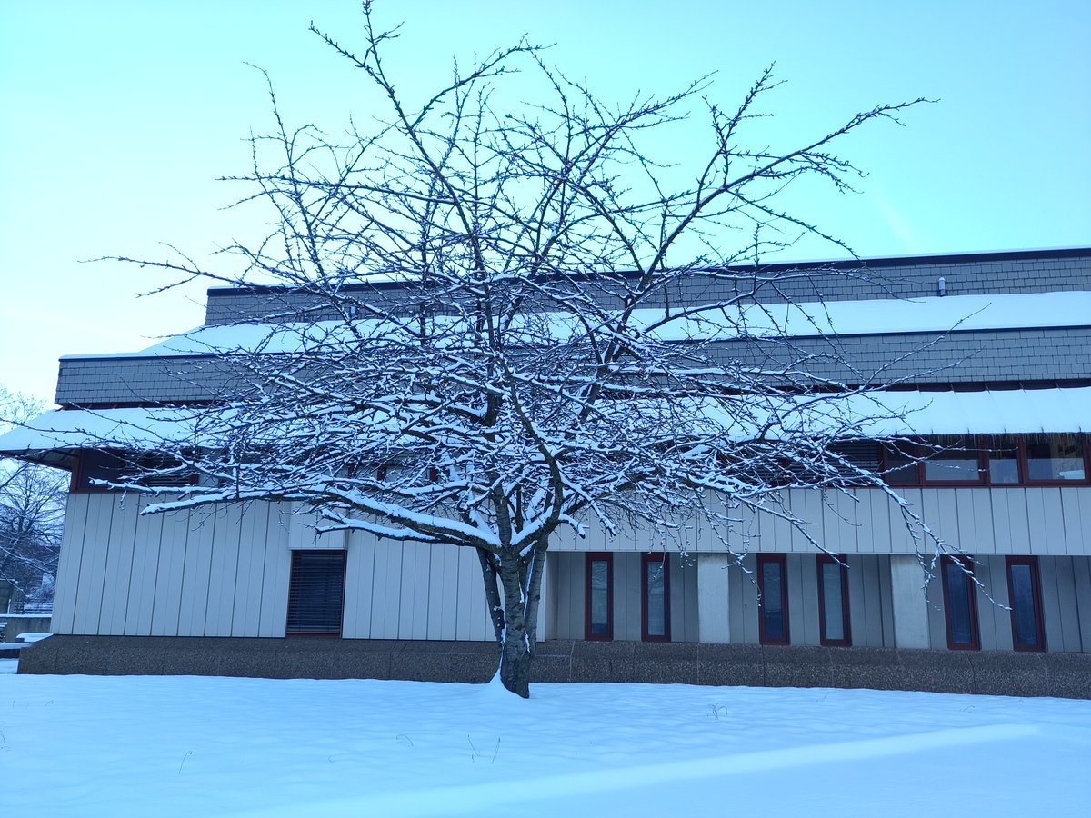 asbl Celida, c/o Archives de l'État à Liège tweet media