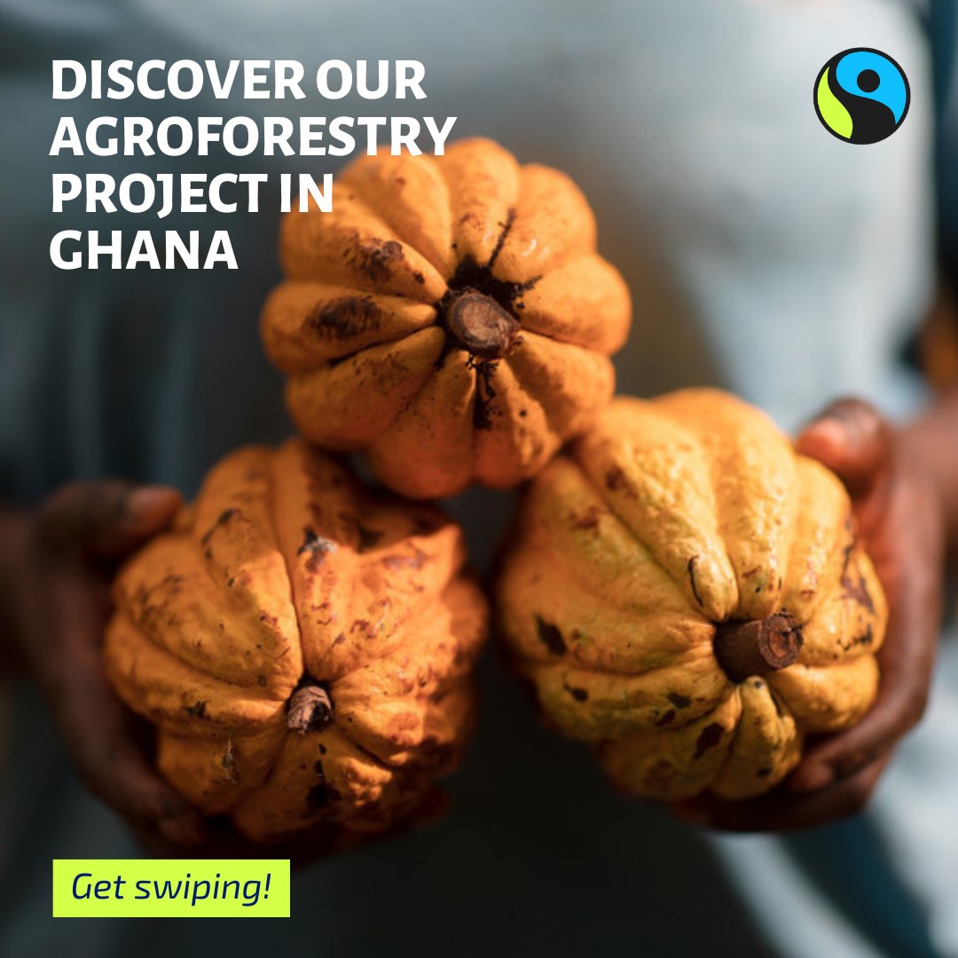 FAIRTRADE's tweet photo. Do you know about our Impact Map? 🔎🌏

Go to https://t.co/jav5Sfs98k to discover more of our projects, studies and country data!

#futureisfair #fairtradeimpactmap #agroforestry #deforestation

📸 Fairtrade/Fairpicture https://t.co/BkA74XIYFE