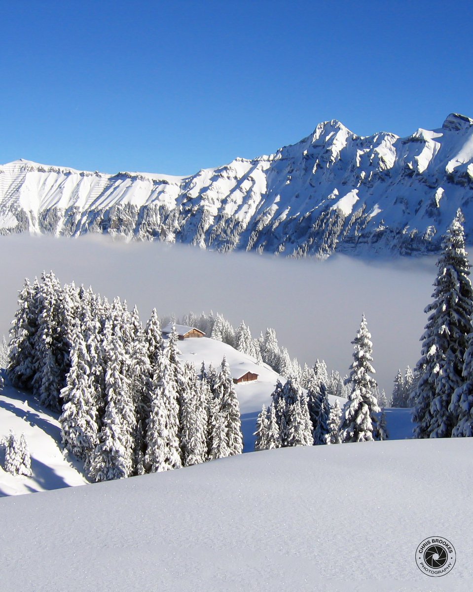Winter scerney in Mürren 🇨🇭 #Mürren #murren #swissalps #jungfrauregion #Switzerland #visitswitzerland #ThePhotoHour #StormHour #Snowhour