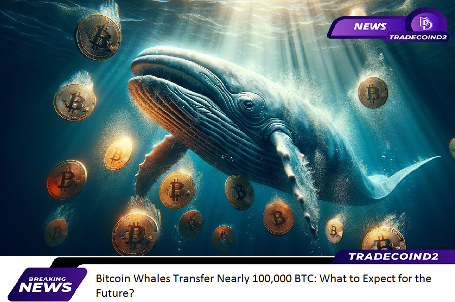 TradeCoinD2's tweet photo. Bitcoin News, January 18, 2024    

$BTC 42.703 $ETH 2.535

@TradeCoinD2

- Bitcoin Whales Transfer Nearly 100,000 BTC: What to Expect for the Future?

While #Bitcoin has experienced a 15% drop in value since the approval of spot #ETFs, a noteworthy trend is capturing investor attention: dormant Bitcoin whales, inactive for years, are suddenly reactivating their portfolios through significant transfers.

Whales Making Waves Despite the approval of ETFs, Bitcoin’s price has continued to hover below the $43,000 mark, raising concerns about the asset’s transition into the highly anticipated 2024 bull run. Nevertheless, for many, this downturn is seen as an essential part of the journey leading #BTC to new highs in 2024.