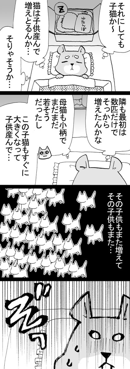 四コマ「祖父んちの隣人が多頭飼育崩壊した話25」  母猫のハクさんは、多分1歳未満でゆずちゃんたちを産んだと思われます。  #猫 #御かぞくさま御いっこう #四コマ漫画