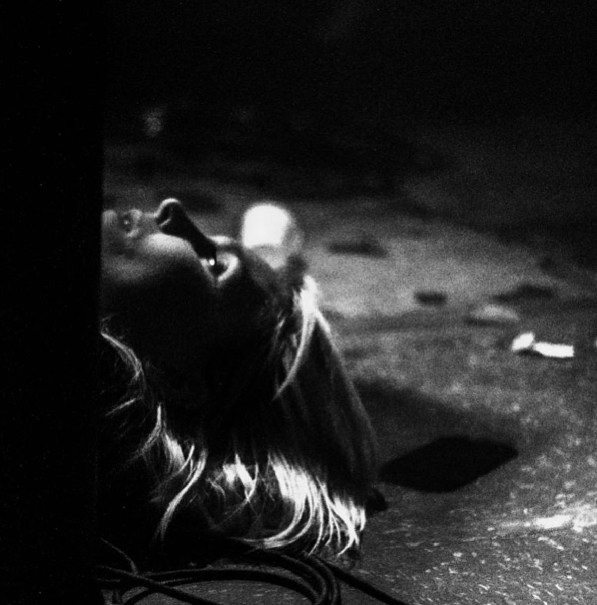 Puce Mary sera à l'affiche du concert <a href="/Ina_GRM/">INA grm</a> de jeudi 25 janvier prochain à 21h à la SALLE DES CONCERTS du Mans dans le cadre de la biennale LE MANS SONORE ! <a href="/lemanssonore/">lemanssonore</a>
👉 lemanssonore.fr/evenements/ako…