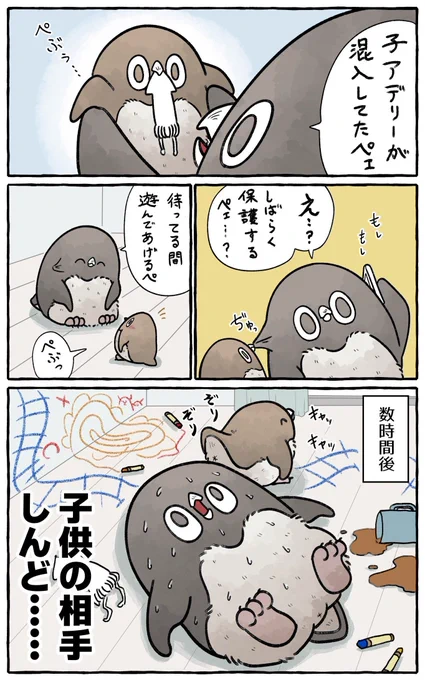 【2/2】
こうして、子アデリーは頻繁に遊びに来るようになったペェ〜 