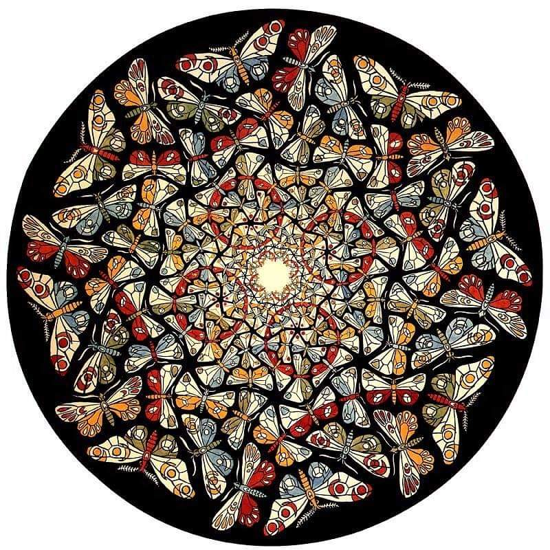 MC Escher 
“Circle with butterflies” 1950 #resist #escher #butterflies #elonmuskout #trumpout