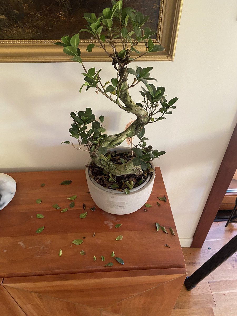 Professor James Logan 🏴󠁧󠁢󠁳󠁣󠁴󠁿 tweet media