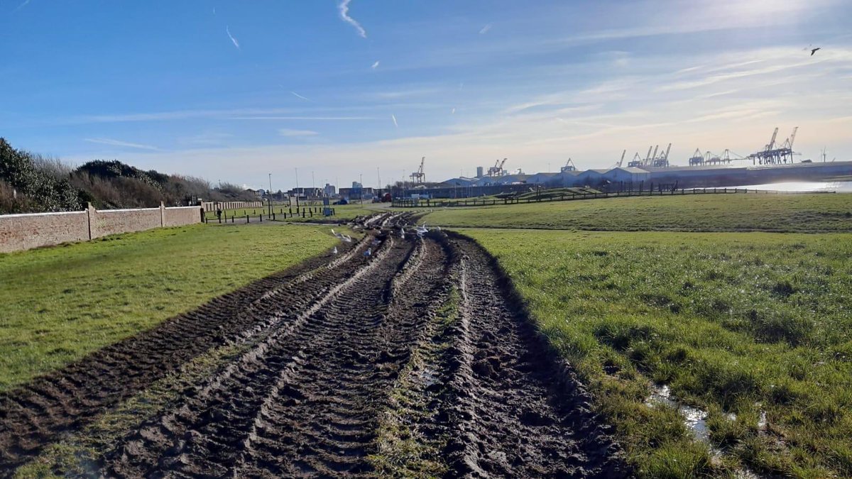 We have been made aware of the damage to the grassland habitat on Crosby Coastal Park. This was caused by a 3rd party contractor who had clear instructions to stay within a designated area. 
Read more ⬇️