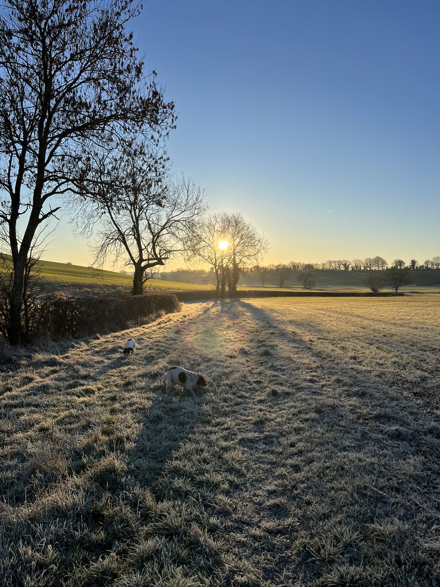 What a morning to be alive. Dog walkers reward is that all the mud is frozen 🥶