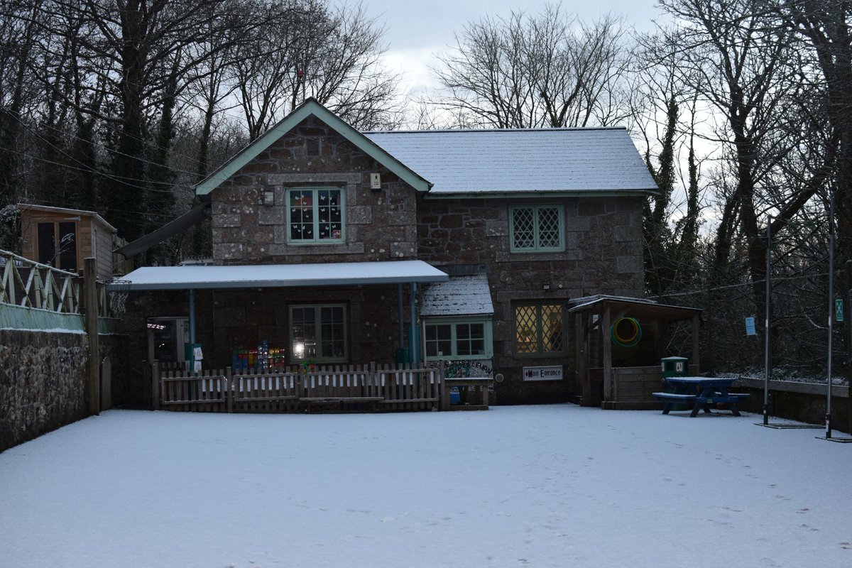 St Levan School tweet media