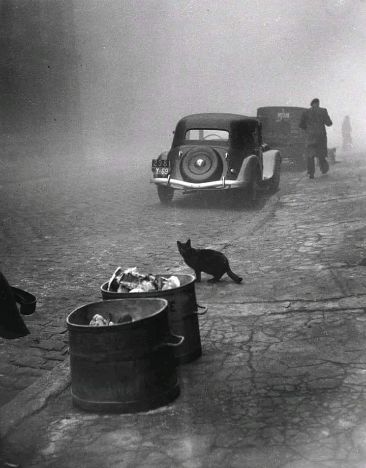 © Sabine Weiss, 1950.