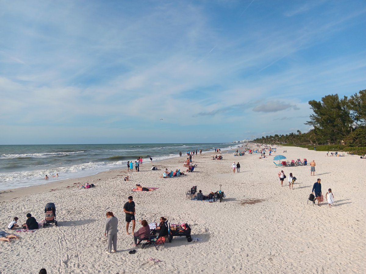 Adverse ✞ tweet media