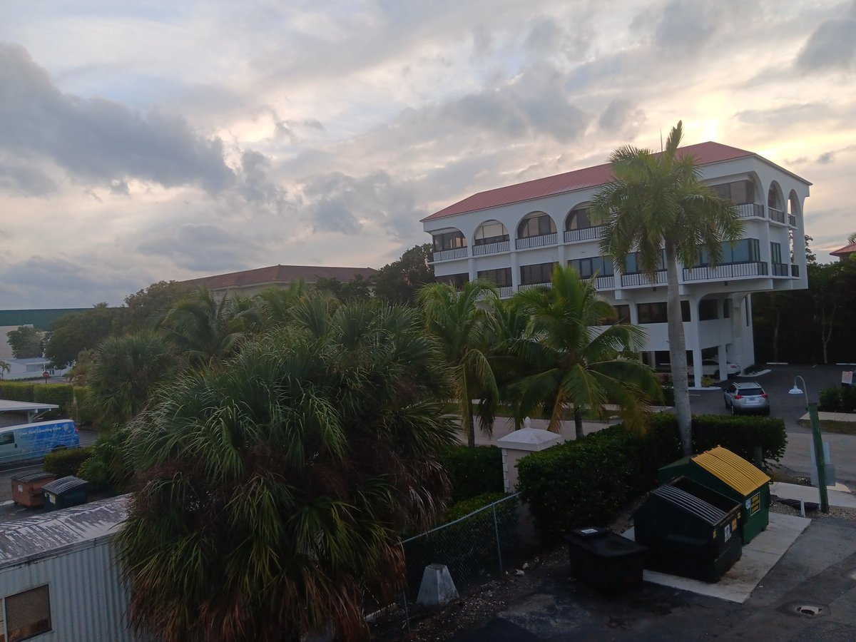 Adverse ✞ tweet media