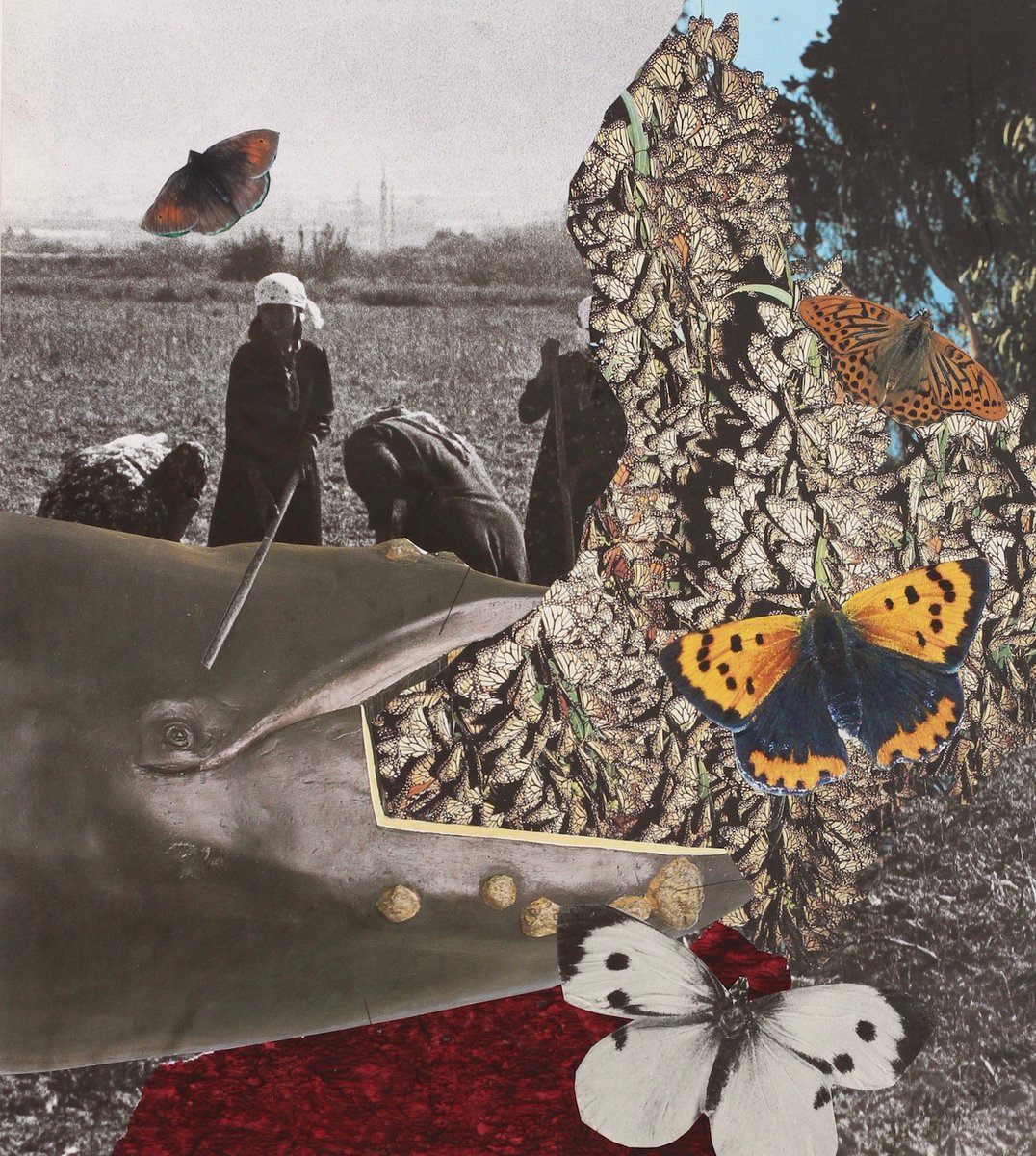 Brendankcwriter's tweet image. A collage by artist and musician Ian Tothill inspired by She That Lay. I think it's great. Delighted that he has taken up the story and done his thing with it...