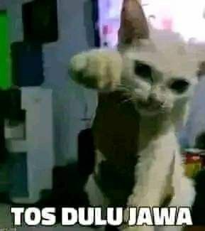 ayangsohe's tweet photo. @zeanvly HAHAHAHAHA https://t.co/HNZsxScLXS