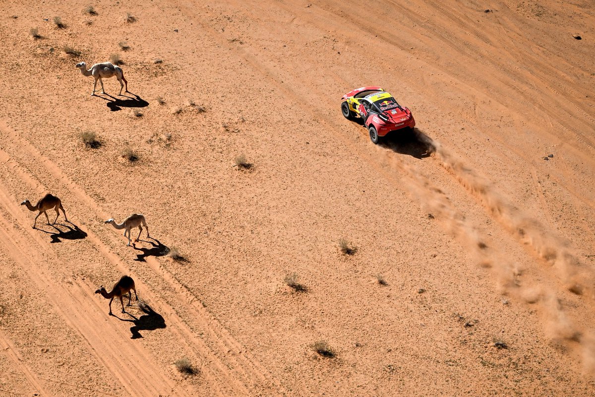 LIVERBLOG | Het is over en uit voor Sébastien Loeb! En daarmee is Carlos Sainz op weg naar de eindzege rtlnieuws.nl/sport/gp/artik… #RTLGP #Dakar2024