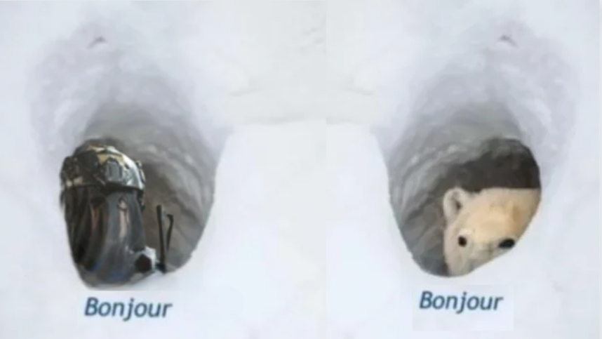 𝑺𝒉𝒂𝒓𝒑𝒔𝒉𝒐𝒐𝒕𝒆𝒓. (@callofdutymara) on Twitter photo 