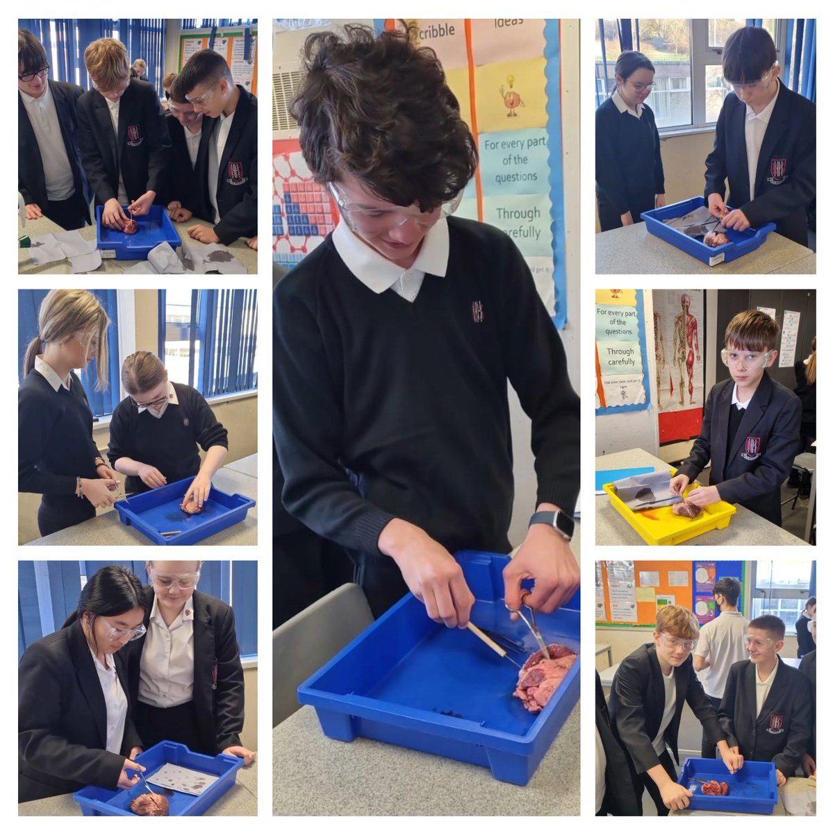 BCACS_Science's tweet photo. Last week, our year 9 students delved into the intricacies of heart anatomy through an awe-inspiring dissection. Here are Mrs Evans class. #Practicalscience @BishopHedleyRC https://t.co/FunQ3NwDxK