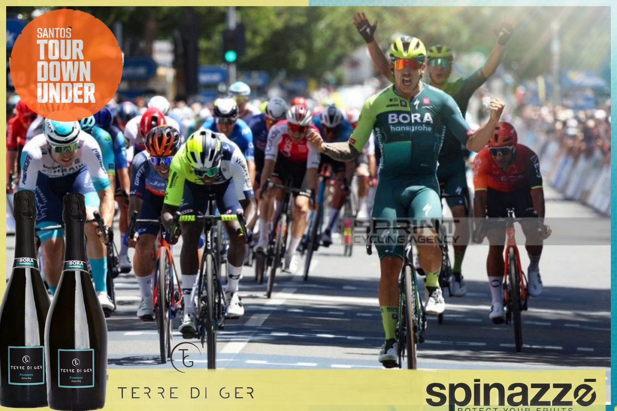 TerrediGer's tweet photo. Twice....the perfect start and the perfect mood ti open our prosecco bottles
@BORAhansgrohe @sam_welsford 
@ryanmullen9 and @Dannyvanpoppel the leadouts
@tourdownunder https://t.co/STZ7qSpTNC