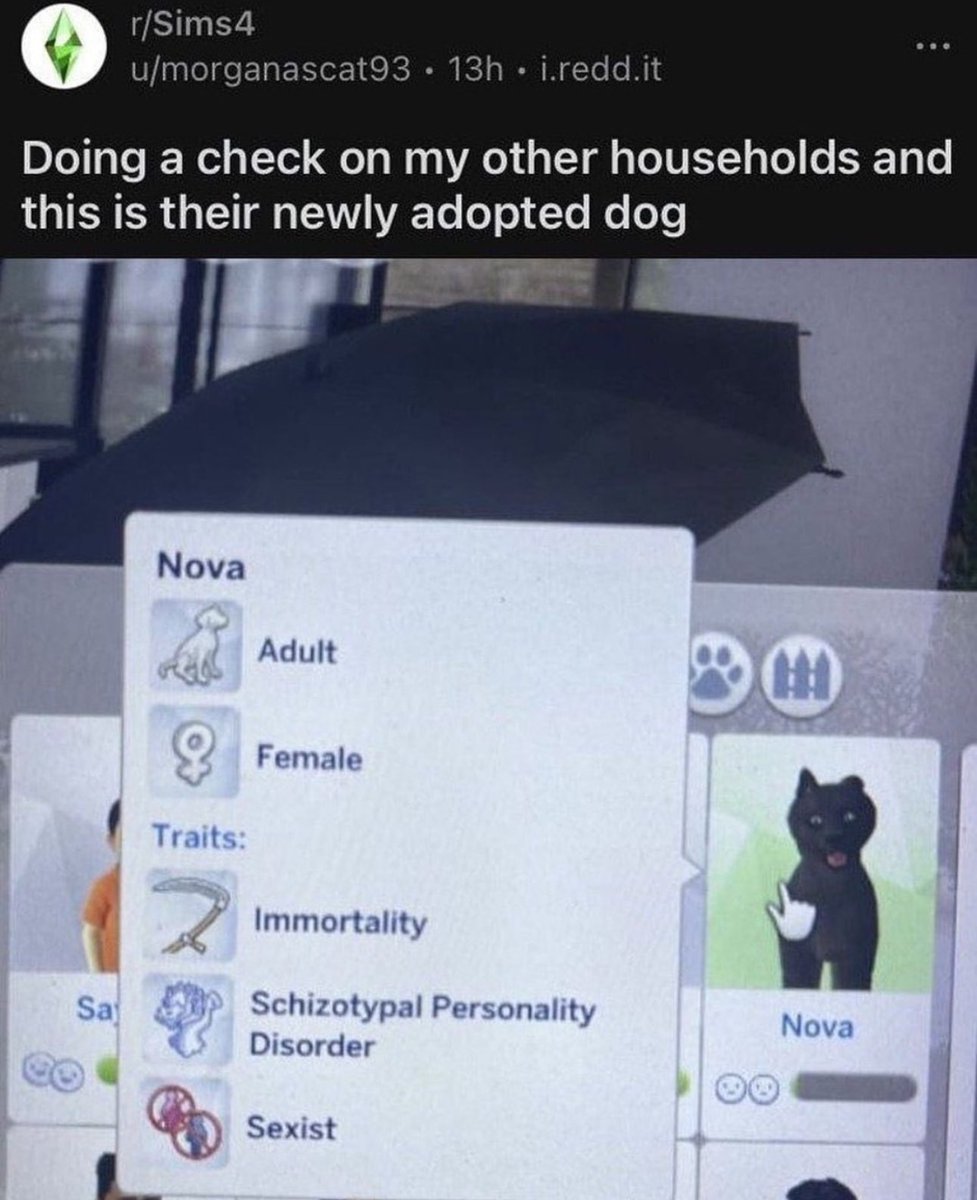 nocontextmemes's tweet image. 