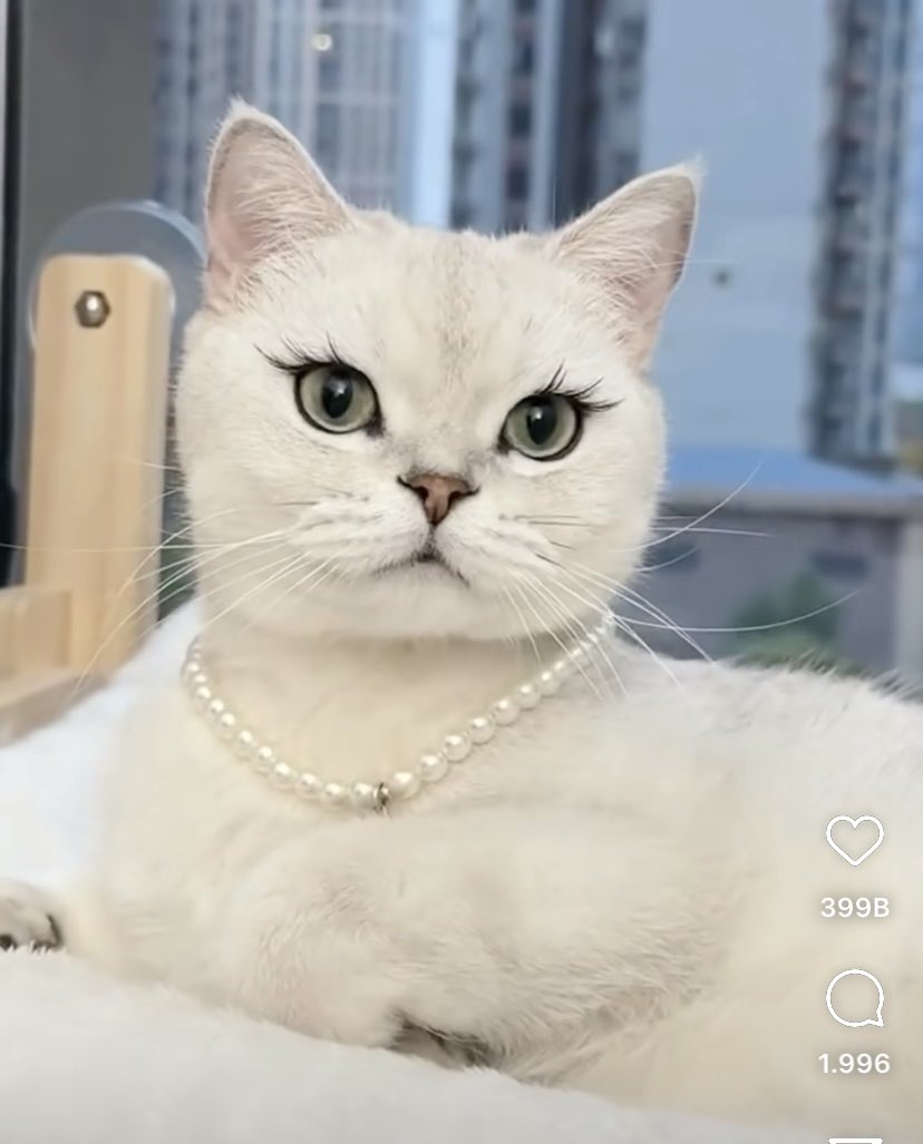 hangi rimeli kullandın kızım ya..