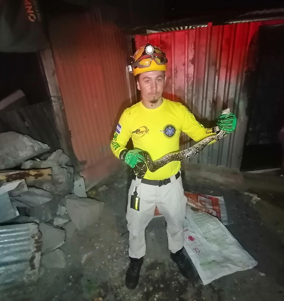 #Sucesos Este socorrista de <a href="/alertacomando/">ComandosdeSalvamento</a>  sorprendió a sus colegas al tomar con sus manos esta serpiente "Boa Constrictora" con un tamaño aproximado a  1.50 metros que presentaba peligro para  habitantes del la colonia Concepción, SS. Posteriormente la especie se liberó.#ENNews