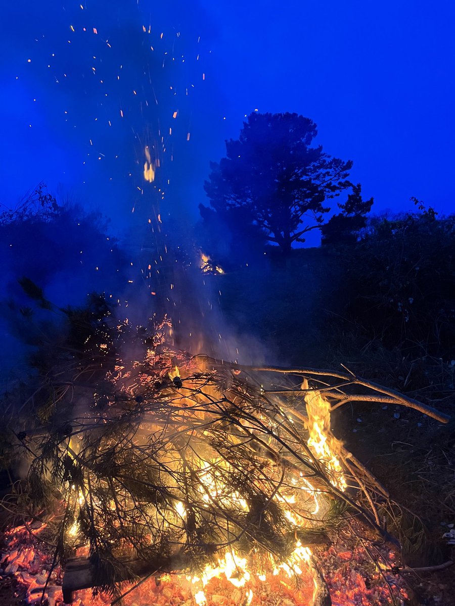 Paul Staples tweet media