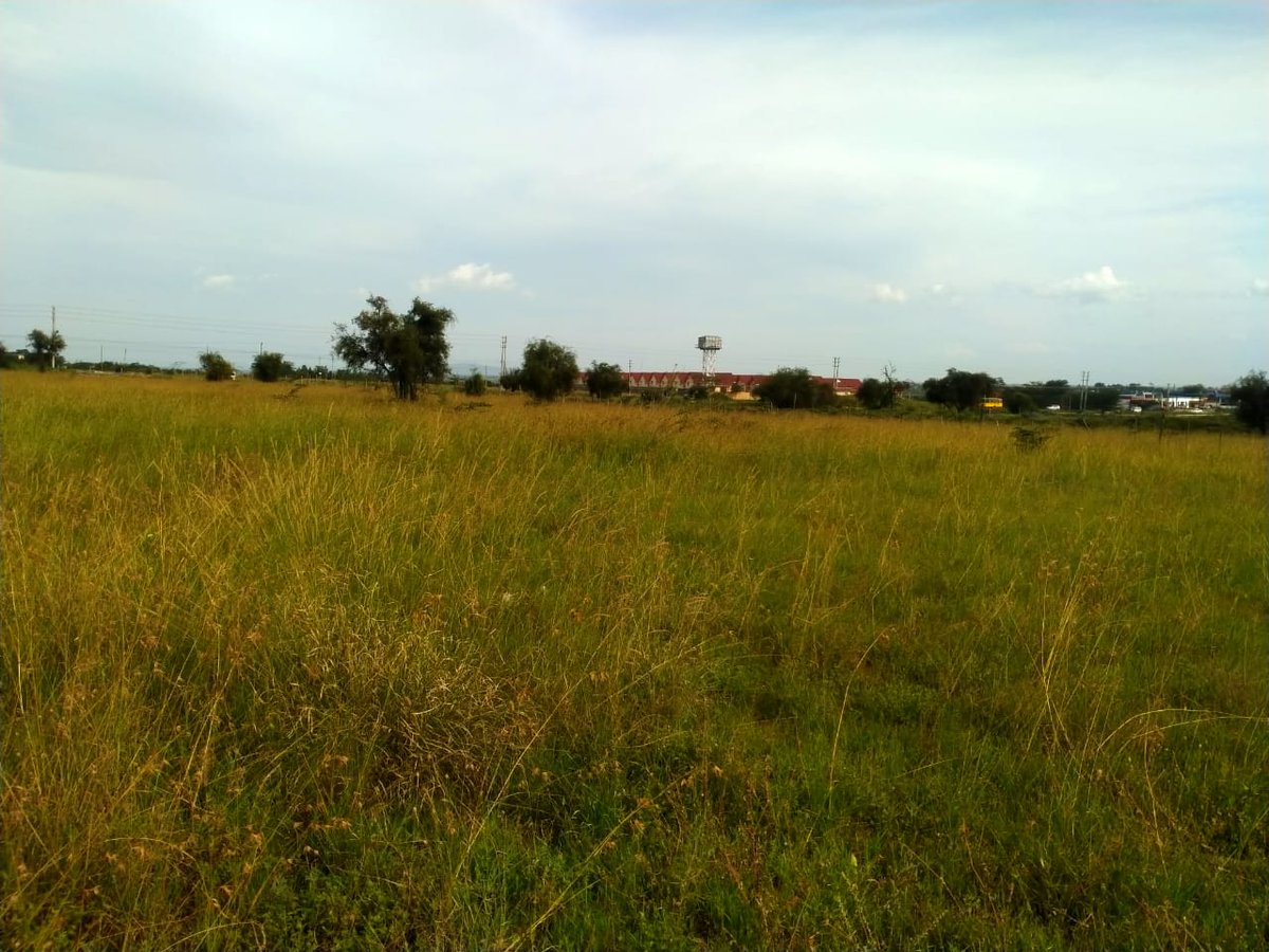 Myspace_Kenya's tweet photo. 5 acre plot of land situated in a picturesque location in Kitengela is up for sale, offering an ideal location for residential or commercial development.

ASKING PRICE: 130 M

For more info:
0701 800 800 / 0734 555 556
Whatsapp: https://t.co/Z8WZ07T18j https://t.co/AWbrzD66jB