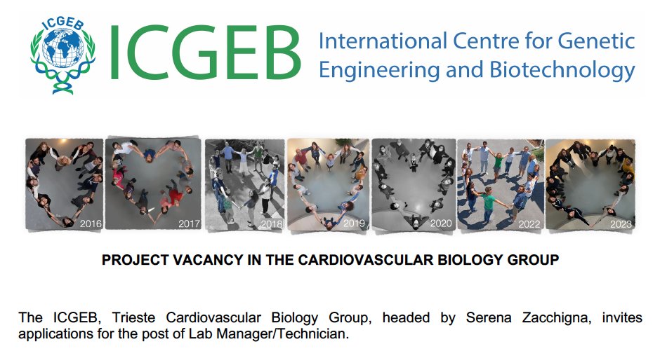 Looking for a position as Lab Manager? The Cardiovascular biology lab in Trieste, Italy, is looking for you!
Apply by 15 February 2024

#Vacancy #LabManager #Trieste @SerenaZacchigna 
👉 icgeb.org/project-vacanc…