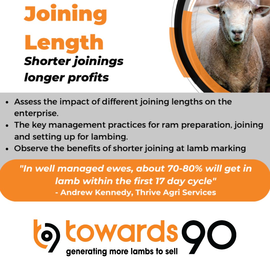 How long are your rams out with your ewes?
There are many benefits of shorter joining length on enterprise management and profitability.
However, it does take careful planning and strategy.
Learn more here: towards90.com.au/joining-length/ or get in touch with us for a chat