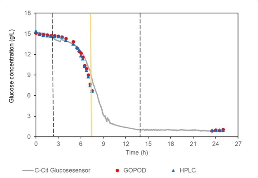 CITSensMeMo's tweet photo. FED-BATCH E.COLI CULTURE CONTROLLED WITH IN SITU GLUCOSE SENSORS 
https://t.co/yUKCOjYlxI
#glucose #lactate #insitumonitoring #sensors #bioreactor #labautomation https://t.co/RxvI6Mi6GQ