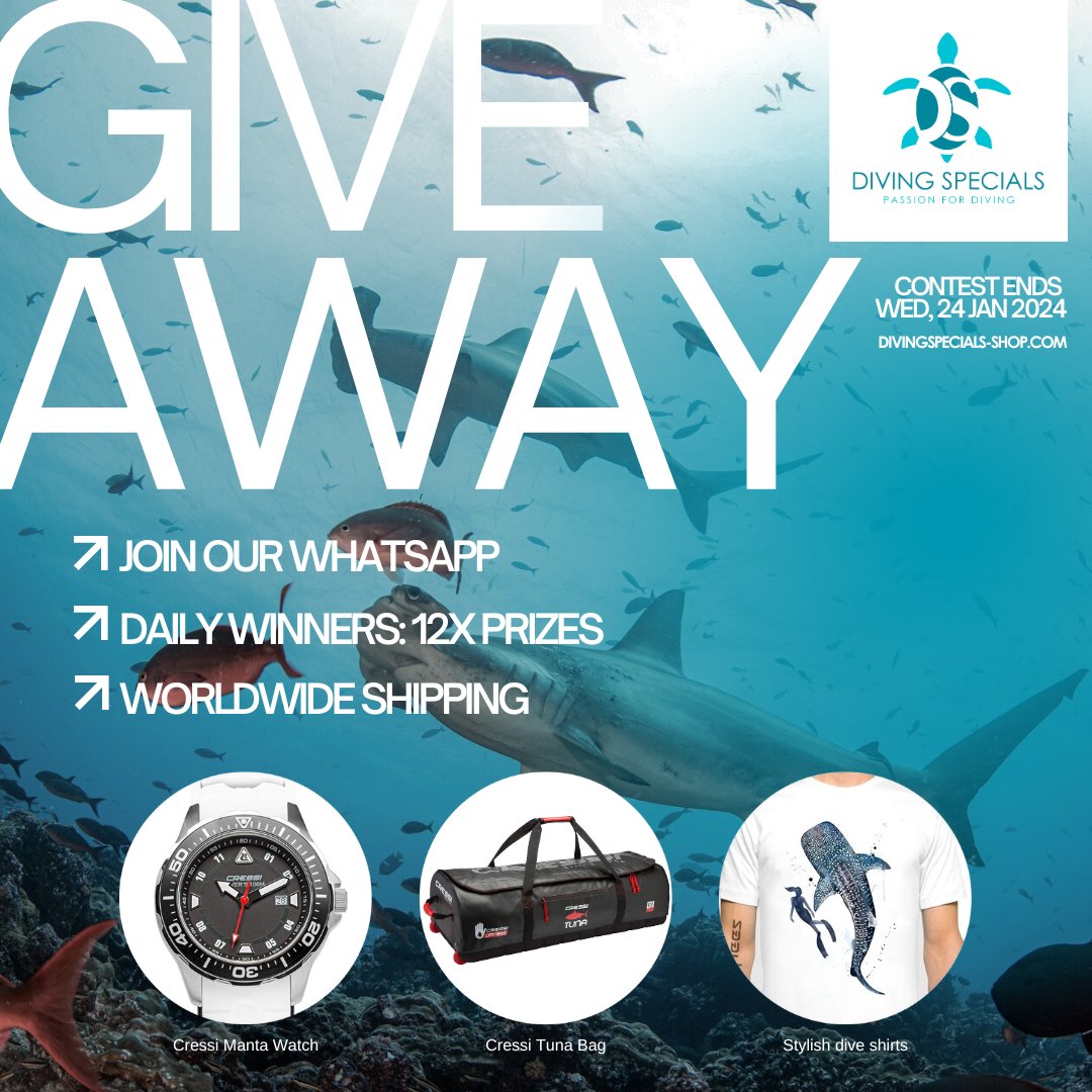 HAVE YOU PARTICIPATED IN OUR CONTEST???
IF NOT, THEN THIS IS YOUR CHANCE TO ENTER AND WIN FREE PRODUCT FROM our shop Diving Specials Shop. ALL YOU HAVE TO DO IS 📷 SEND 📷START📷 ON WHATSAPP TO JOIN:
wa.me/message/IQSBTO…