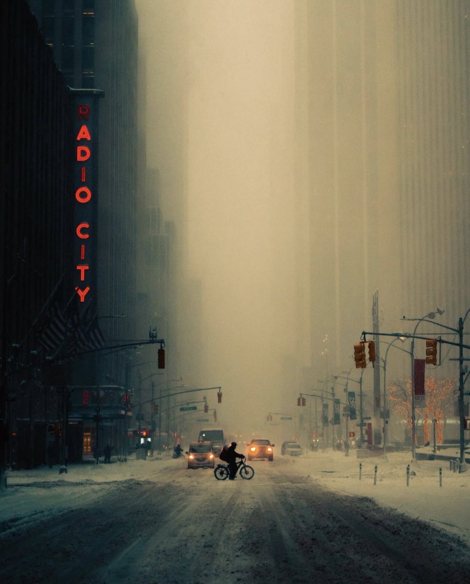 earthcurated's tweet photo. Winter in New York City https://t.co/I3IZlMlJip
