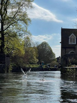 매일 아침 일어나면 당신은 내가 목표를 추구하고 더 나은 사람이 되도록 동기를 부여해 줍니다. 당신을 주셔서 감사합니다.