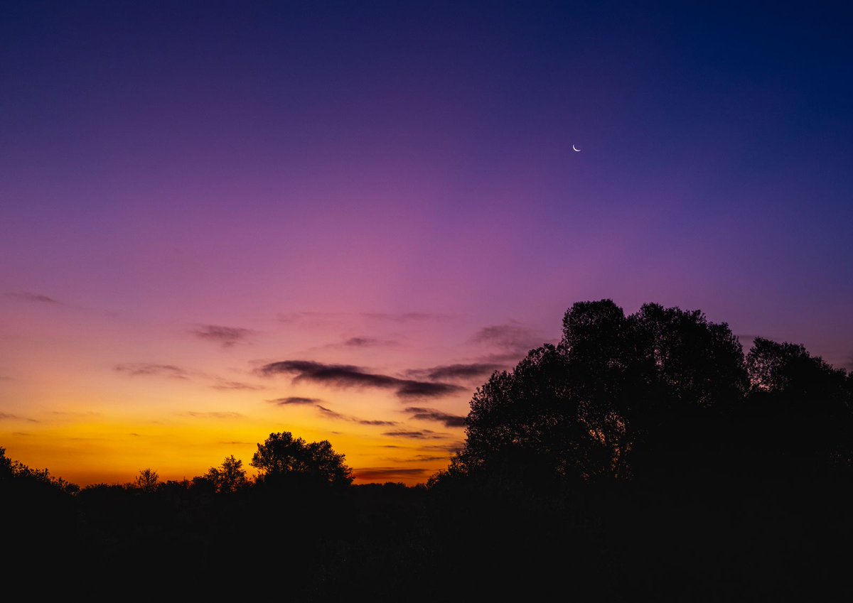 Breath-taking sunrise at our Quinta. 👍💛😘

#visitalgarve #RoomToRent #feelslikehome #apartmentforrent #holiday #vacation #happytraveller #accommodation #algarve #portugal #bedandbike #moncarapacho #Fuseta #shorttermstay #shorttermrentals #eastalgarve #quintadossorrisos