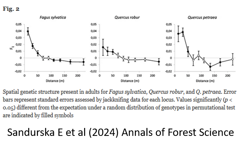 New #OpenAccess #ResearchPaper: "Factors determining fine-scale spatial genetic structure within coexisting populations of common beech, pedunculate oak, and sessile oak" by Sandurska E et al <a href="/UKWBydgoszcz/">UKW Bydgoszcz</a>
See doi.org/10.1186/s13595…
Shareable link rdcu.be/dwjD6