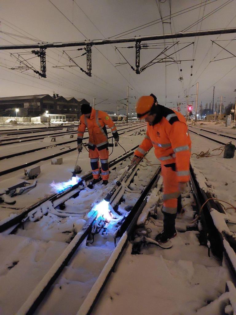 Soune SERRE tweet media