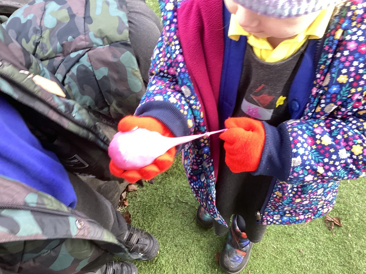 Reception class did a science experiment overnight. We filled balloons with water to different sizes and left them on a tray outside. Today we discovered some had frozen but it wasn’t cold enough to freeze the bigger balloons. #discoveringwinter