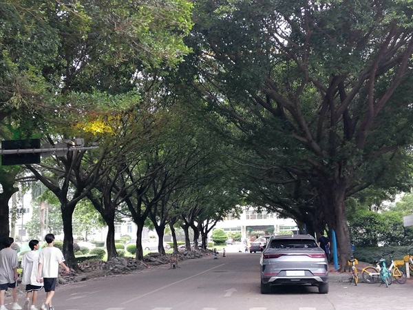 iGuangdong's tweet photo. Well, what's it like to study in #China?📚🧐 Click on (➡️https://t.co/QabXjhc12m) to see the campus story of LAILATUL FAIZAH from #Indonesia, who is studying at the South China Normal University in #Guangzhou, #Guangdong province.🌟✨ #GDimpression @YourChinaStudy https://t.co/eDnJ8A0qnx
