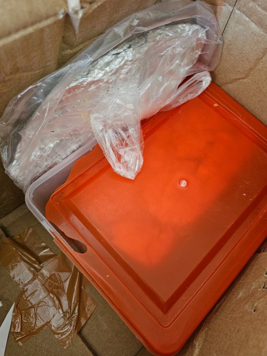 SameerMehra1's tweet photo. Shocking experience with @IndiaPostOffice! Parcel marked as fragile, but items arrived shattered! 😤 Unbelievable negligence! 🤯 Is this the standard of service we can expect? 🤔 Seeking compensation &amp; accountability. #IndianPostFail #PatheticService @AshwiniVaishnaw @DoT_India https://t.co/vy0WUvPCtU