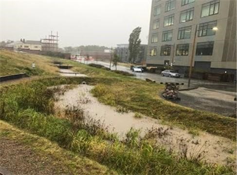 National Green Infrastructure Facility tweet media