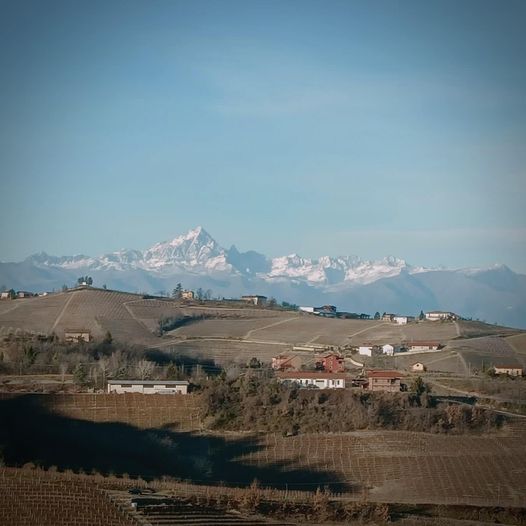 “Langhe, one of the most evocative experiences in Piedmont even in the winter season: nature, good food and excellent wine...” @montaribaldi #thewinebuff #langhe #piedmont #italy #italianwine #sustainablefarming #winter #nature #greatwines #shoplocal #winelover