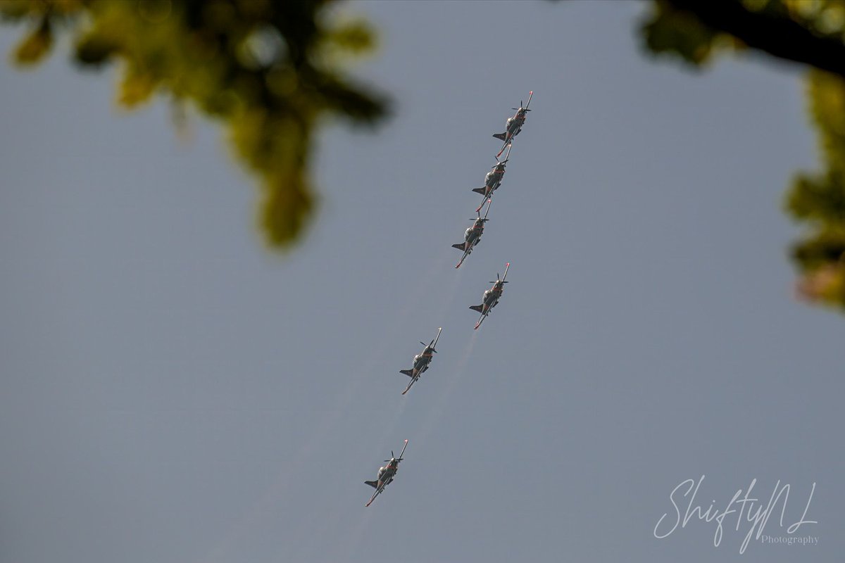 Formation flight through treeleaves. . #pzl130 #polishairforce #airforce #aviation #airshow #plane #fujifilmxh2 #fujinon100400