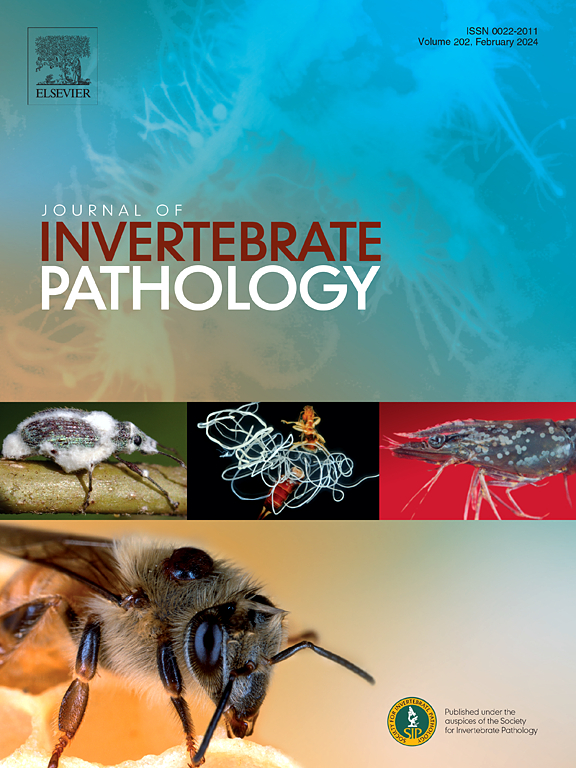 Happy New Year from #JIP! We are excited to display all the amazing invertebrate pathology work of 2024 🎉 We have a range of special issues dedicated to certain pathogen and invertebrate groups - sciencedirect.com/journal/journa… Take a look and get in touch if you want to contribute!