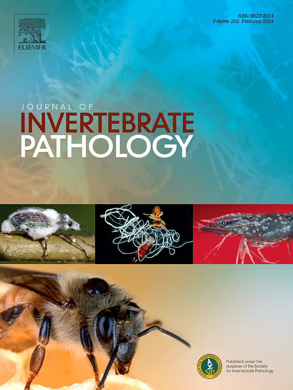 Happy New Year from #JIP! We are excited to display all the amazing invertebrate pathology work of 2024 🎉

We have a range of special issues dedicated to certain pathogen and invertebrate groups - sciencedirect.com/journal/journa…

Take a look and get in touch if you want to contribute!
