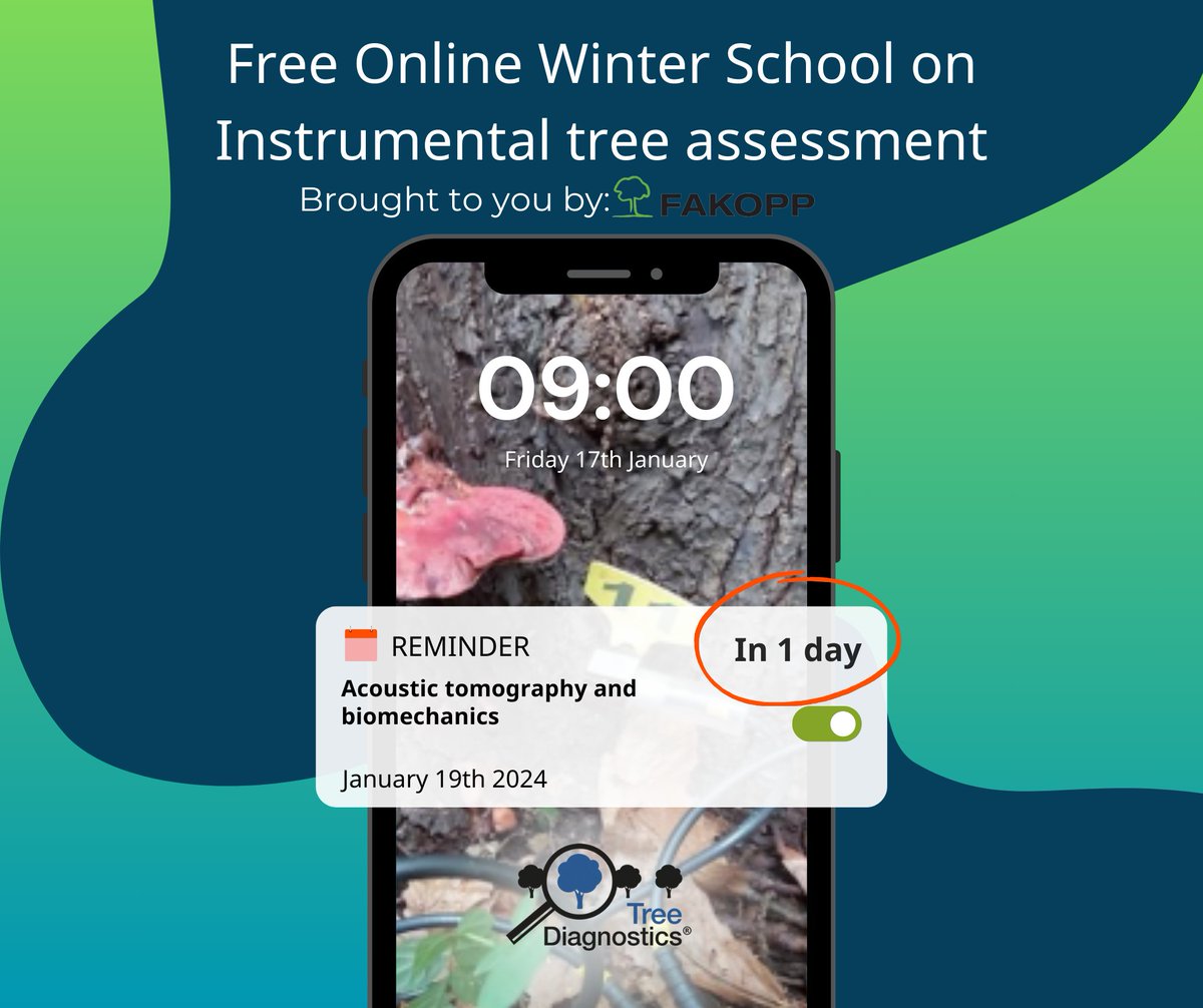 Treediagnostics's tweet image. FAKOPP Training! We LOVED yesterday&apos;s session! 🎓🌳

#FakoppTraining #Tomography #TreeDiagnostics #Training #WinterSchool #OnlineLearning