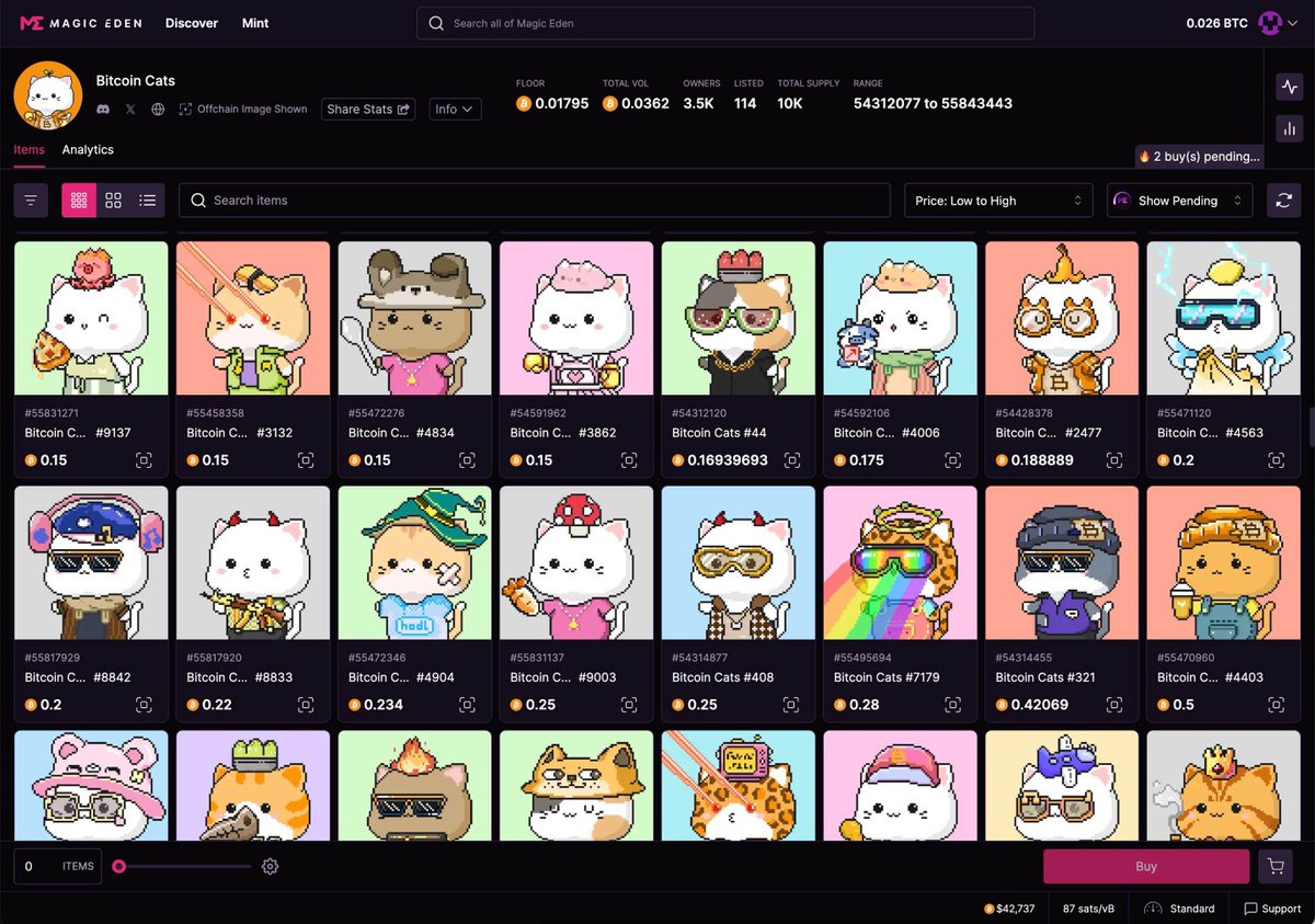 BitcoinCats1Cat's tweet photo. We're excited to get listed on @MagicEden🐱🐱🚀🚀

Trade your cats here 👇 
https://t.co/lREihcmJtR
and ensure your wallet has enough BTC

This is just the beginning, your #BitcoinCats will be with you on an enduring journey! https://t.co/oi87ADCfcf
