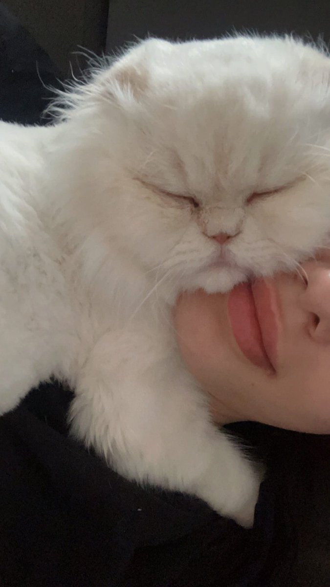 😭❤️