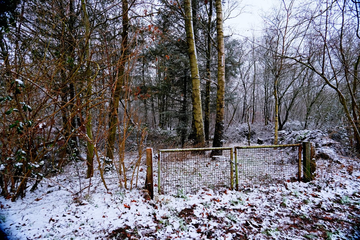 rob_sieben's tweet photo. Is anyone locked in or locked out here? #Fotos #fotografie #landscapephotography #fotografia #ostfriesland #landscape #Simonswolde #WINTER #cold link: https://t.co/B5MyiQJHjF https://t.co/qXadi0XsnV